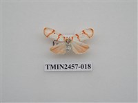 藏品(二斑叉紋苔蛾)的圖片